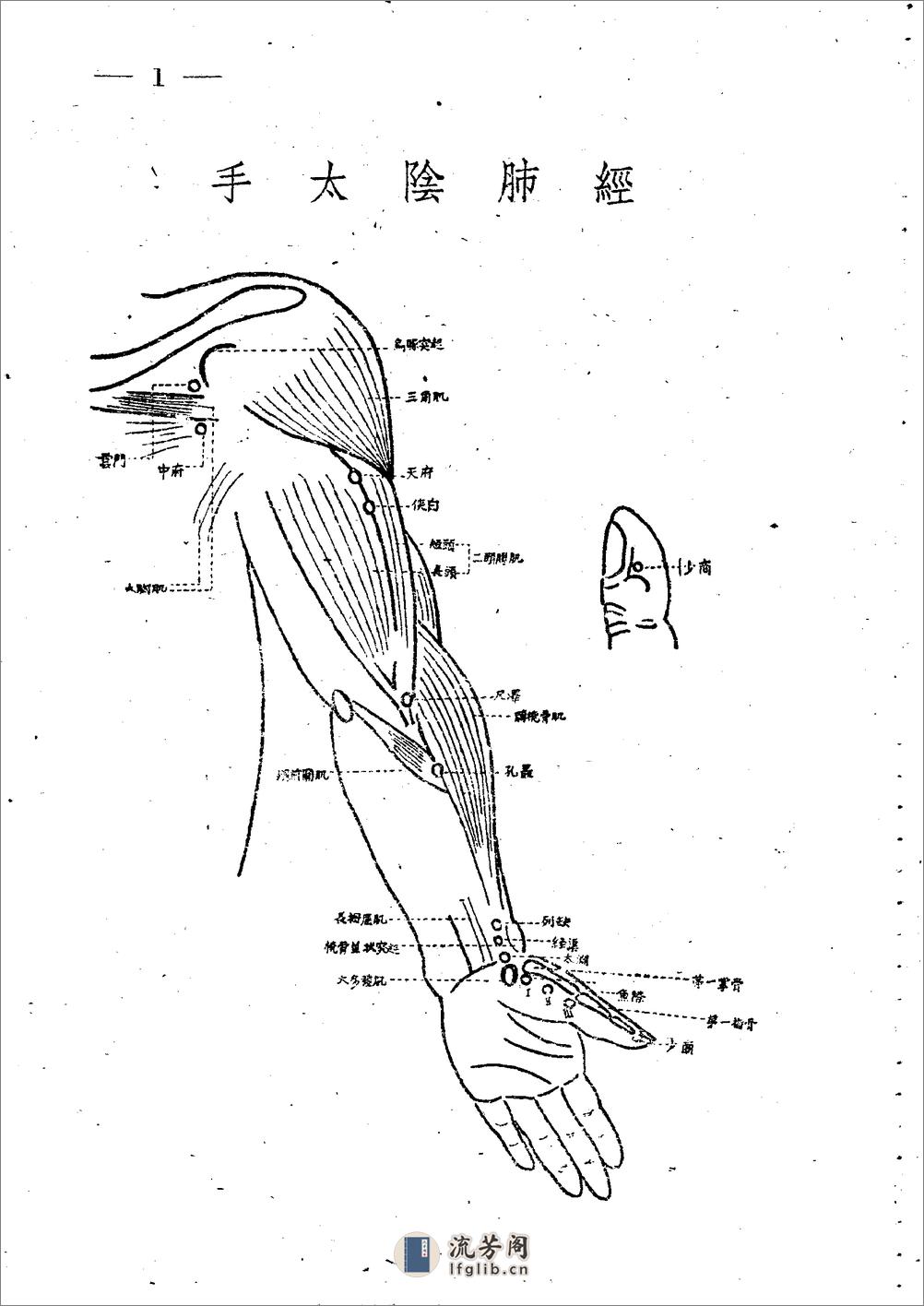 十四经穴图谱 日本本间祥白1959 - 第1页预览图