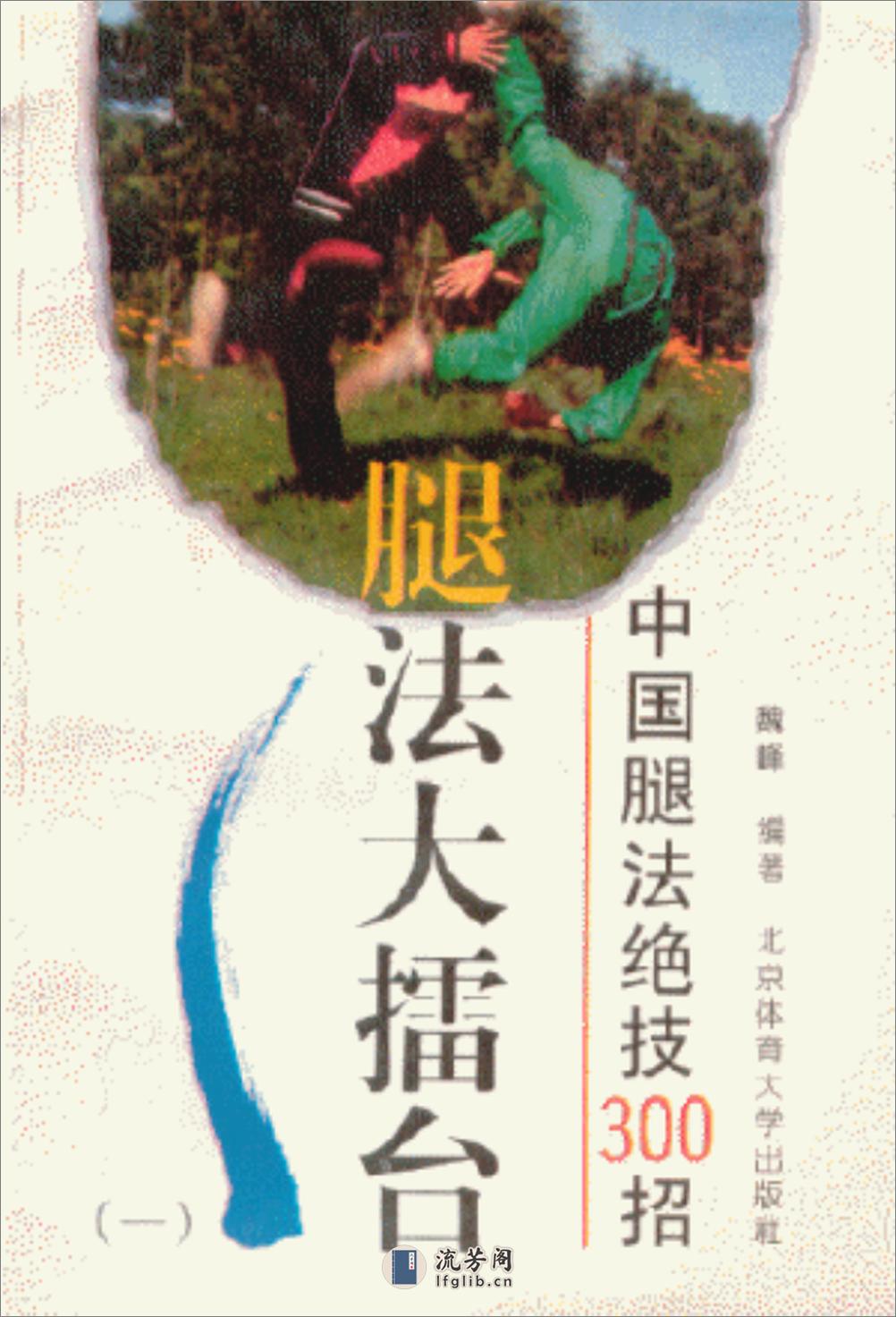 《腿法大擂台：中国腿法绝技300招（一）》魏峰 - 第1页预览图