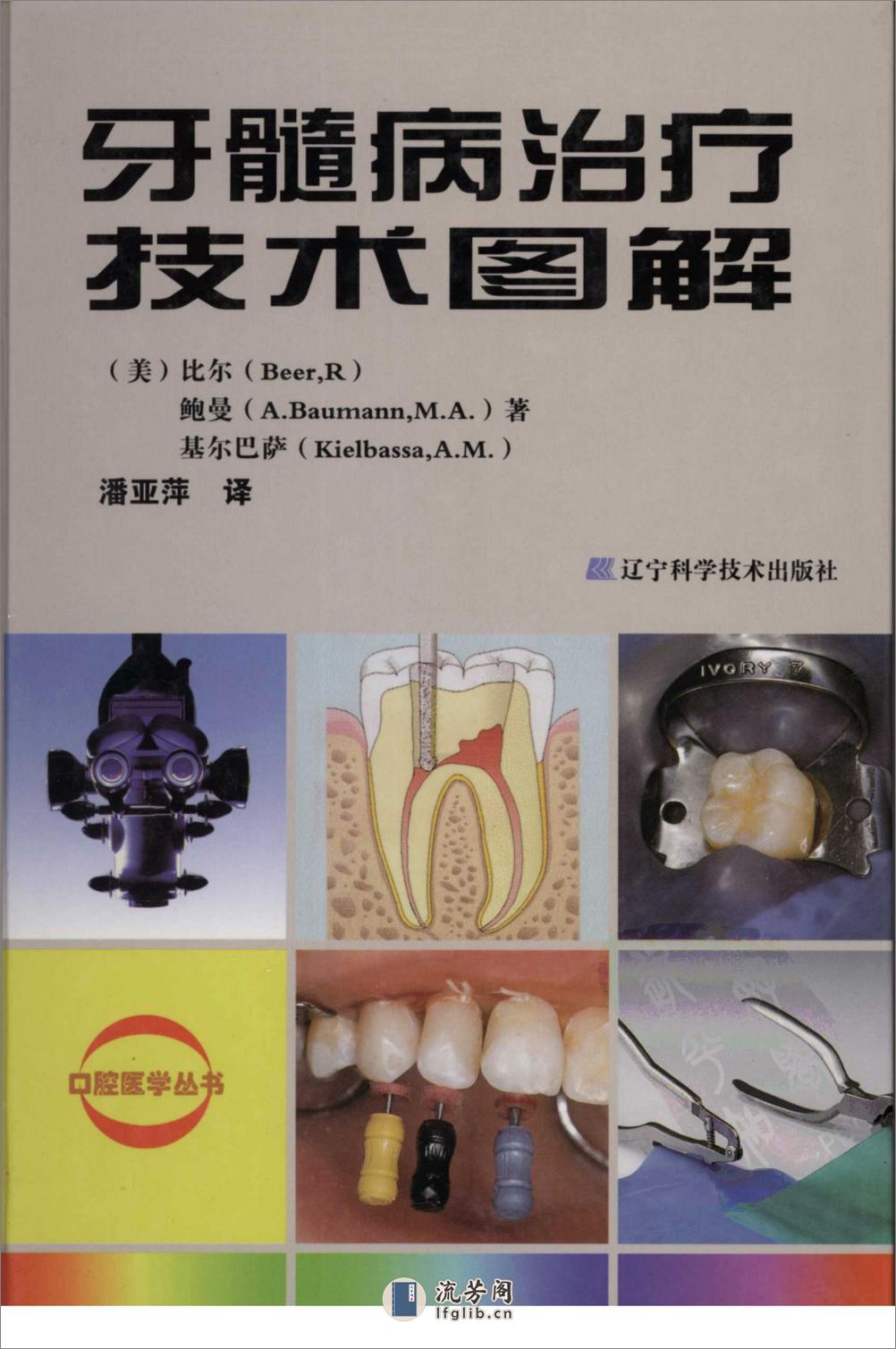 牙髓病治疗技术图解  - 第1页预览图