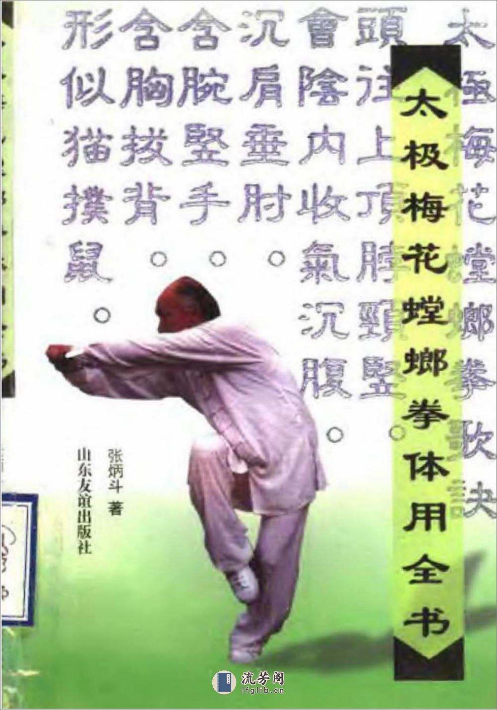 《太极梅花螳螂拳体用全书》张炳斗 - 第1页预览图