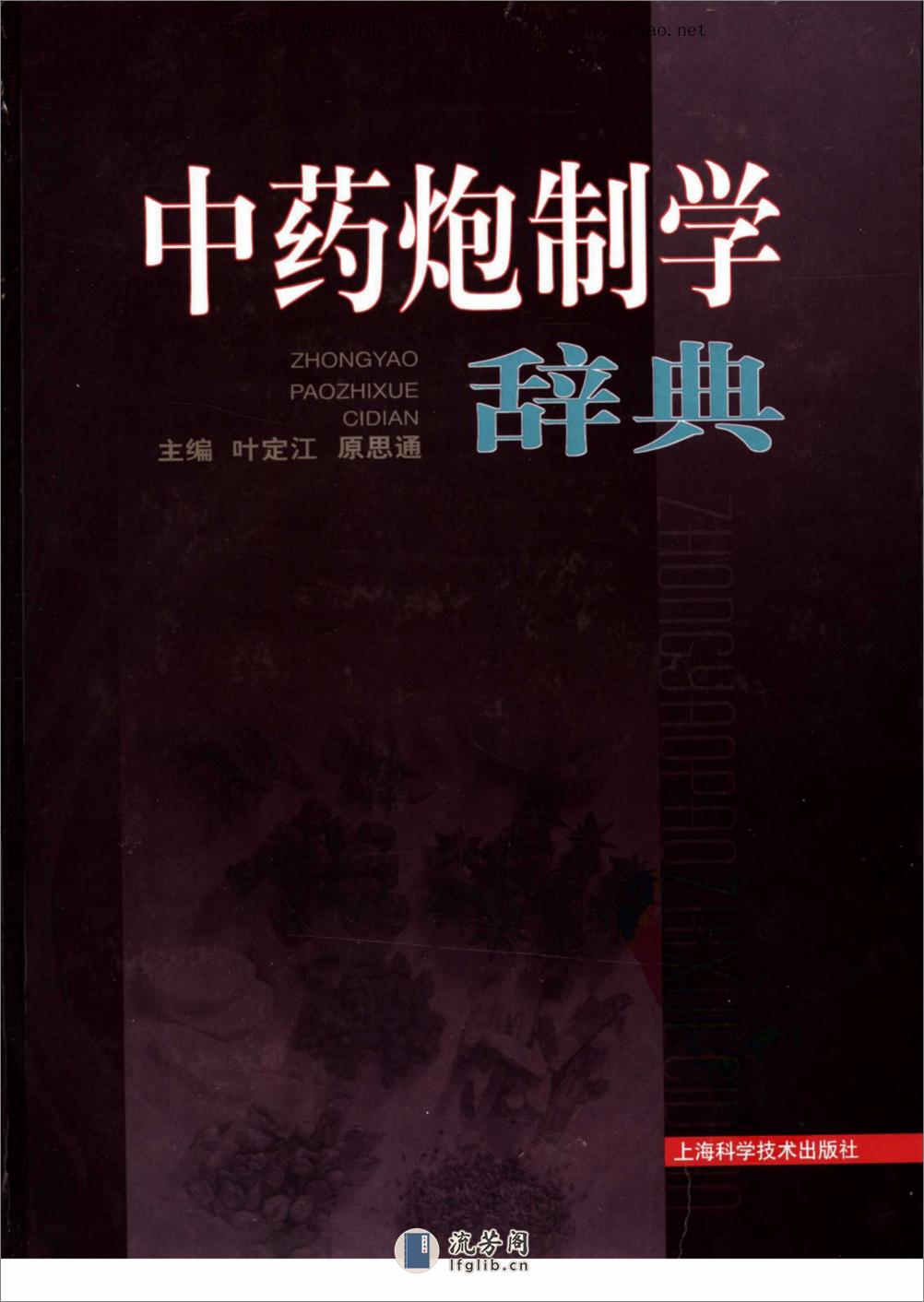 中药炮制学辞典pdf - 第1页预览图