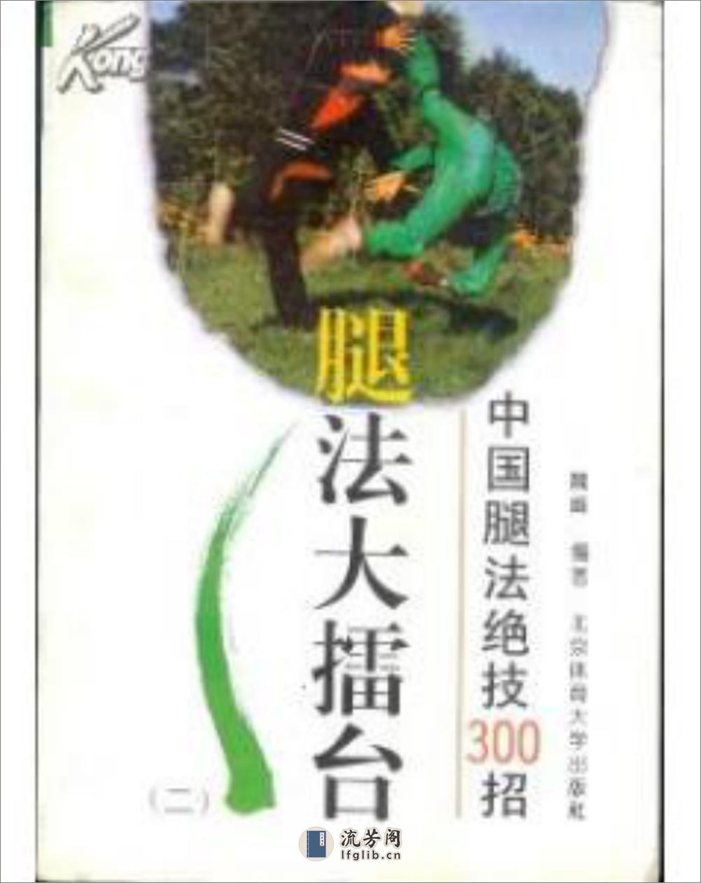 《腿法大擂台：中国腿法绝技300招（二）》魏峰 - 第1页预览图