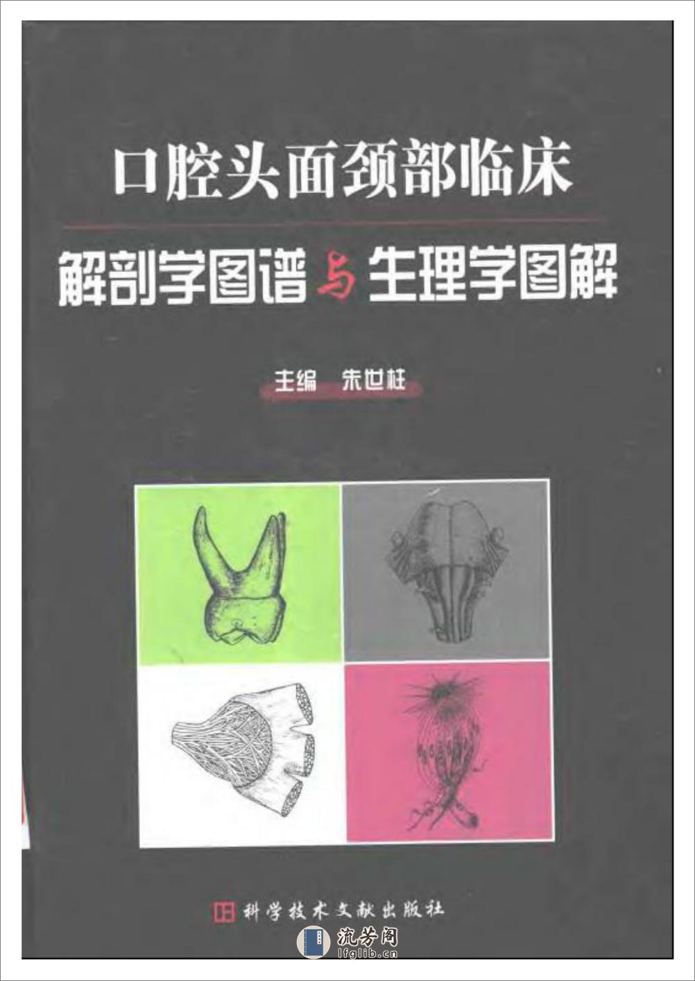 口腔头面颈部临床解剖学图谱与生理学图解（朱世柱  主编） - 第1页预览图