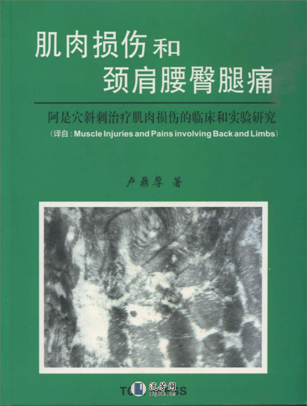 肌肉损伤和颈肩腰臀腿痛-卢鼎厚 - 第1页预览图