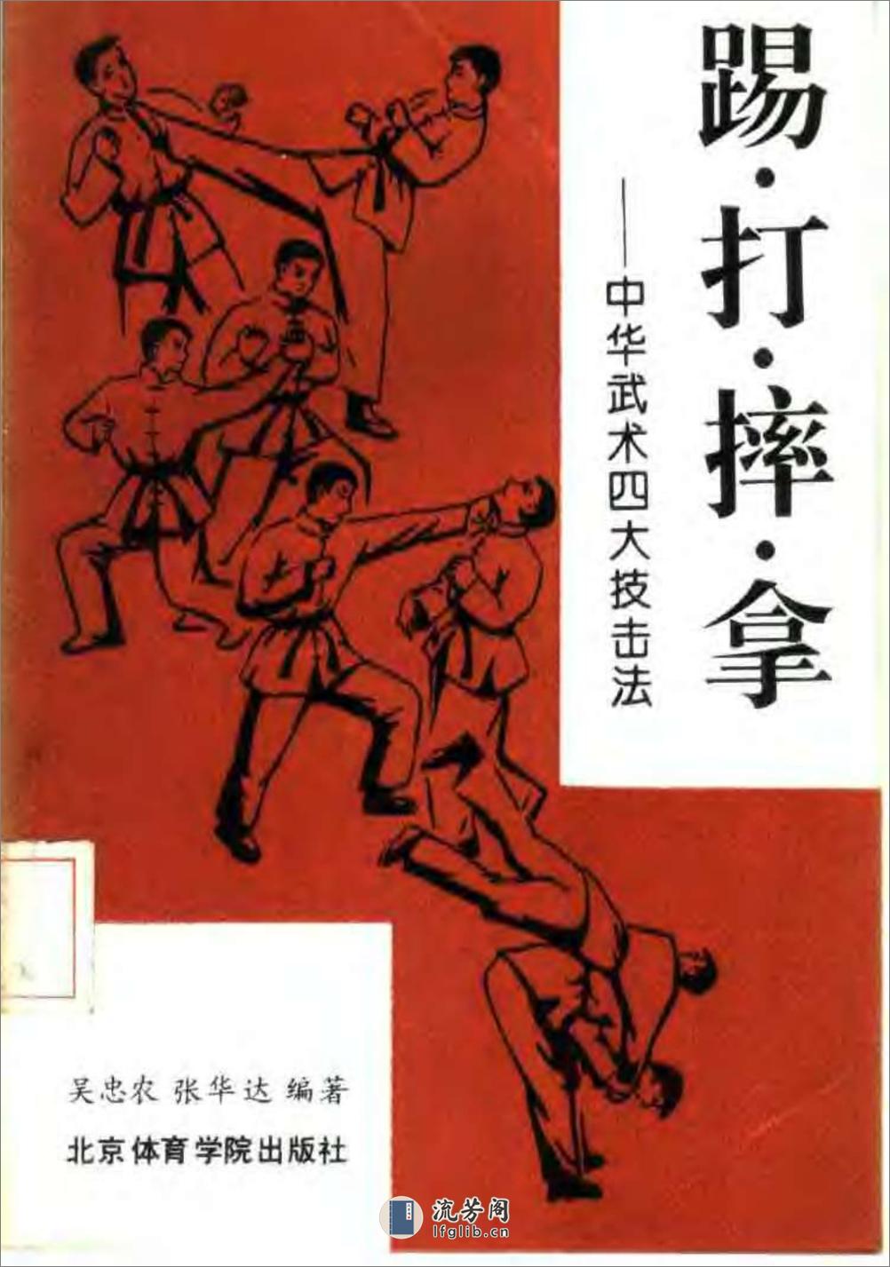 踢·打·摔·拿：中华武术四大技击法（吴忠农） - 第1页预览图